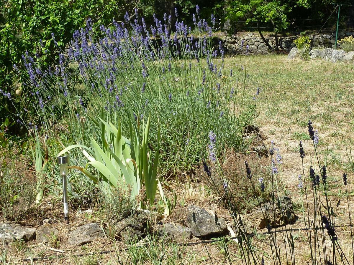 Loucabanon Var Draguignan Extérieur photo